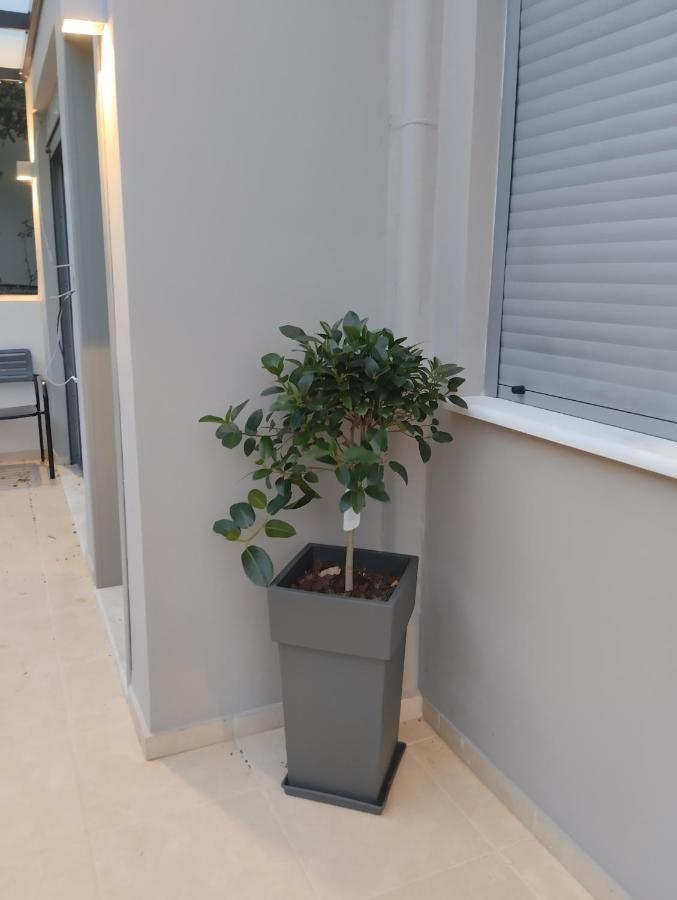 Animus Premium Apt Nauplia Esterno foto